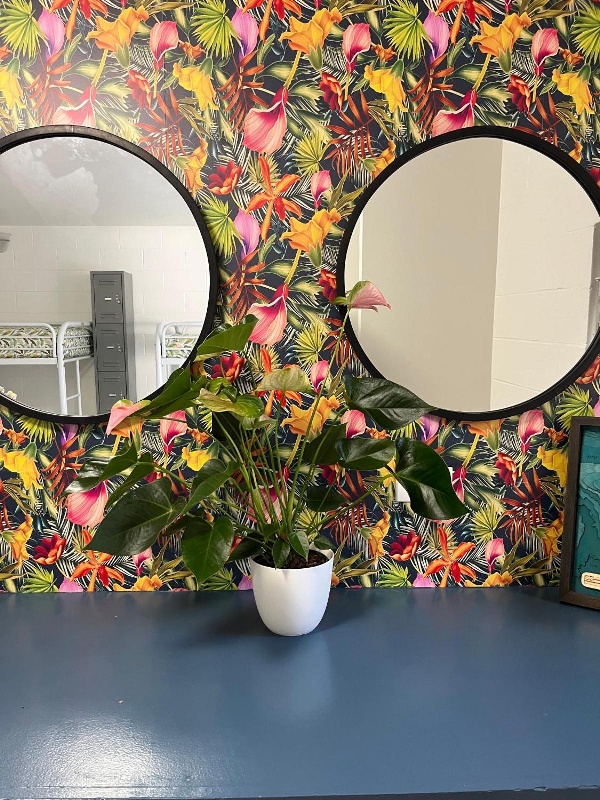 Waikiki Beachside Hostel Main image