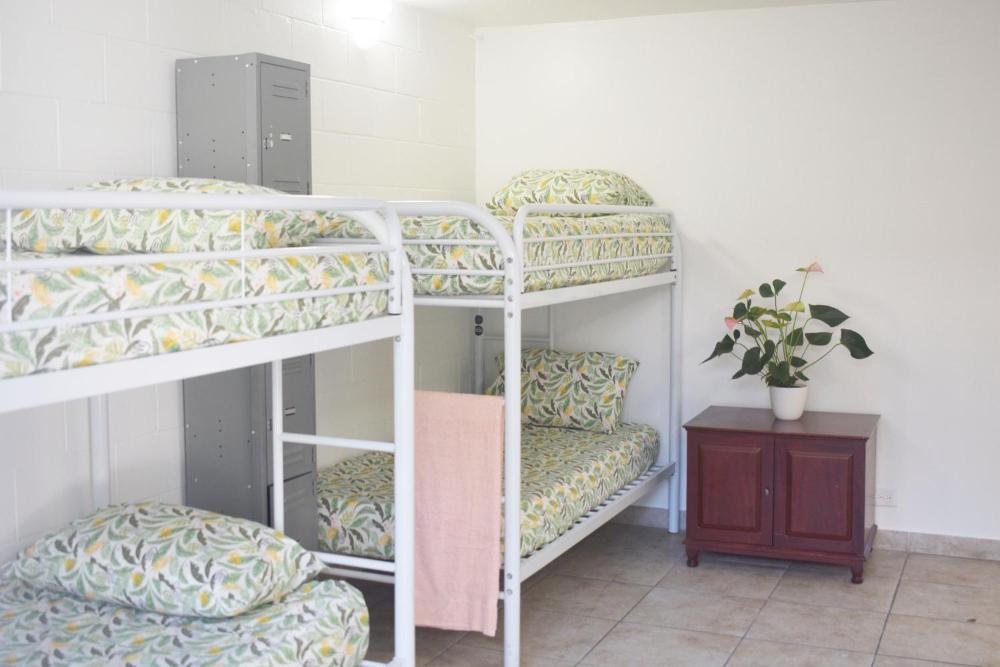 Bed in 4-Bed Mixed Dormitory Room